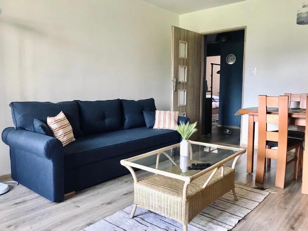 Apartament U Krola Sledzia 科沃布热格 外观 照片